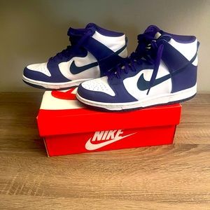 Nike Dunk Hi